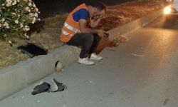 Kızını YKS’ye götürmek için yola çıktı, feci kazada can verdi