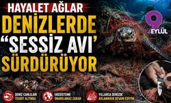 Hayalet ağlar denizlerde "sessiz avı"nı sürdürüyor