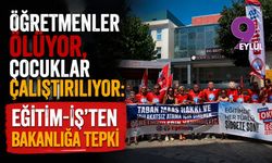 Öğretmenler ölüyor, çocuklar çalıştırılıyor: Eğitim-İş’ten Bakanlığa tepki