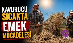 Kavurucu sıcakta emek mücadelesi