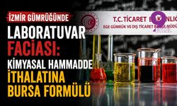 İzmir gümrüğünde laboratuvar faciası: Kimyasal hammadde ithalatına Bursa formülü
