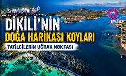 Dikili'nin doğa harikası adaları ve koyları tatilcilerin uğrak noktası
