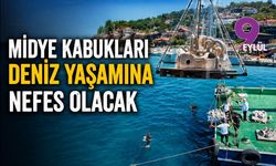 Midye kabukları deniz yaşamına nefes olacak