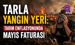 Tarla yangın yeri: Tarımda mayıs faturası
