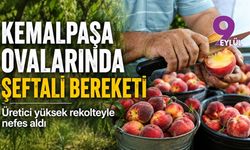 Kemalpaşa ovalarında şeftali bereketi: Üretici yüksek rekolteyle nefes aldı