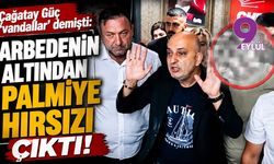 Çağatay Güç 'vandallar' demişti: arbedenin altından palmiye hırsızı çıktı!