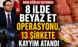 Beyaz et sektörüne dev operasyon: 8 ilde baskın, 13 şirkete kayyım atandı