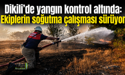 Dikili’de yangın kontrol altında: Ekiplerin soğutma çalışması sürüyor
