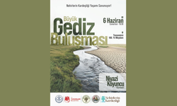 Çevreciler Gediz için ayağa kalkıyor!