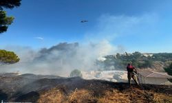 Foça’da makilik alandaki yangın kontrol altına alındı