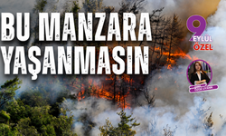 Bu manzara yaşanmasın