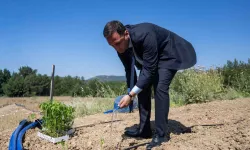 Bornova’da üretilen sebzeler ücretsiz dağıtılacak