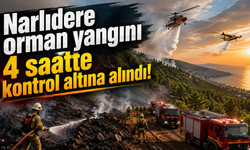Narlıdere orman yangını 4 saatte kontrol altına alındı!
