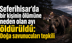 Seferihisar'da bir kişinin ölümüne neden olan ayı öldürüldü: Doğa savunucuları tepkili