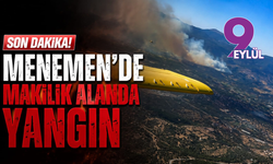Menemen'de makilik alanda yangın