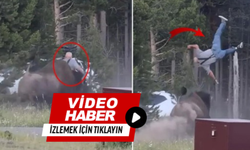 Milli parkta dehşet! Ağır yaralandı