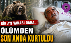 İzmir'den Kars'a gitti, ayı saldırısına uğradı! Ayılar bu kez peşine memleketinde takıldı