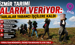 İzmir’de tarım Suriyeli işçilere emanet