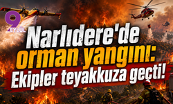 Narlıdere'de orman yangını: Ekipler teyakkuza geçti!
