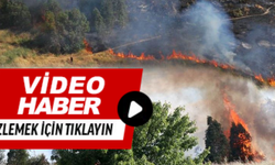 Aydın'da korkutan yangın