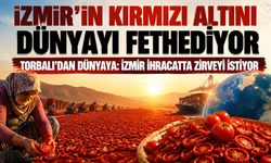 Kuru domatesin başkenti Torbalı’dan dünyaya ihracat yolculuğu