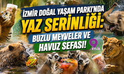 İzmir Doğal Yaşam Parkı'nda Yaz Serinliği: Buzlu Meyveler ve Havuz Sefası!