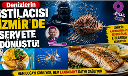Denizleri tehdit eden balık İzmir’de kazanç kapısı oldu