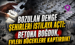 Bozulan Denge Şehirleri İstilaya Açtı: Betona Boğduk, Evleri Böceklere Kaptırdık!