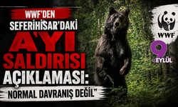 WWF’den Seferihisar’daki ayı saldırısı açıklaması: Normal davranış değil