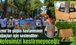 İzmir’de göğüs hastanesinin ağaçları için seslendiler: “Nefesimizi kestirmeyeceğiz”