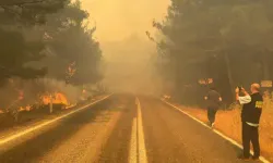 Foça’daki yangın kontrol altında