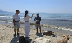 İzmir ve Aydın sahillerine 3 caretta caretta vurdu
