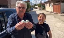 Yol Tarifi İsteyen Erdal Özyağcılar’a Mavi Yumurta Sürprizi!