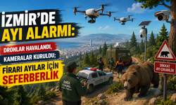 İzmir'de ayı alarmı: Dronlar havalandı, kameralar kuruldu; firari ayılar için seferberlik