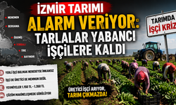 İzmir’de tarım Suriyeli işçilere emanet