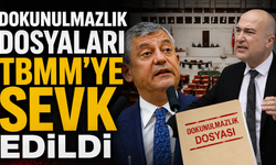TBMM'ye yeni dokunulmazlık dosyaları sevk edildi