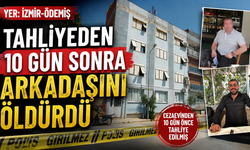 Cezaevinden çıktı, arkadaşını öldürdü