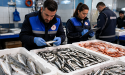 İzmir’de balık haline sıkı denetim: 241 kilo su ürününe el konuldu