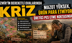 İzmir'in Bereketli Ovalarında Alarm: Üretici Tarlasını Terk Etme Noktasında