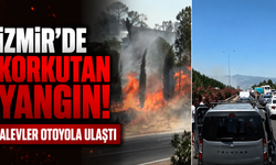 İzmir’de korkutan yangın: Alevler otoyola ulaştı