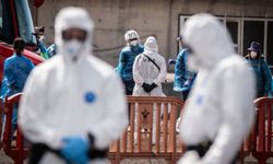 DSÖ duyurdu: Hantavirüs kabusu resmen bitti