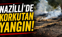 Nazilli'de korkutan yangın!