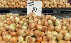 Şahlanan soğana ithalat engeli