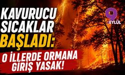 Kavurucu sıcaklar başladı: O illerde ormana giriş yasak!