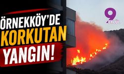 Örnekköy'de korkutan yangın!