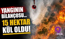 Yangının bilançosu... 15 hektar kül oldu!