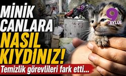Minik canlara nasıl kıydınız! Temizlik görevlileri fark etti...