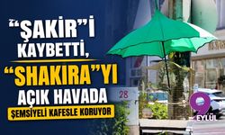 "Şakir"i kaybetti, "Shakira"yı açık havada şemsiyeli kafesle koruyor