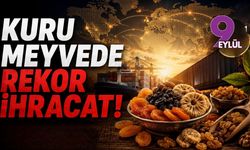 Kuru meyvede rekor ihracat