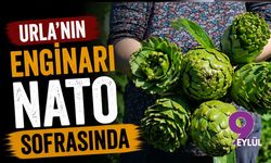 Urla'nın enginarı NATO sofrasında